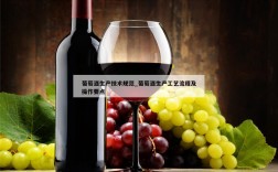 葡萄酒生产技术规范_葡萄酒生产工艺流程及操作要点